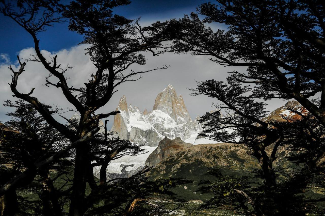 Patagonia Hostel 엘 찰텐 외부 사진